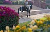 Туры в отель Umaid Bhawan Palace Jodhpur