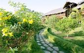 Туры в отель Vanila