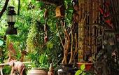 Туры в отель Varinda Garden Resort