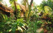 Туры в отель Varinda Garden Resort