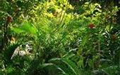 Туры в отель Varinda Garden Resort
