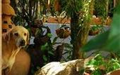 Туры в отель Varinda Garden Resort