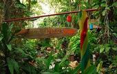 Туры в отель Varinda Garden Resort