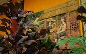 Туры в отель Varinda Garden Resort