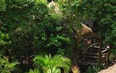 Туры в отель Varinda Garden Resort