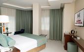 Туры в отель Vatan Asur Hotel
