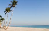 Туры в отель Bahia Mar Beach Resort