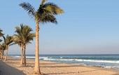 Туры в отель Bahia Mar Beach Resort