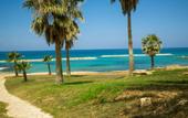 Туры в отель Venus Beach Hotel
