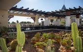 Туры в отель Side Star Resort