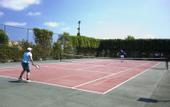 Туры в отель Side Star Resort