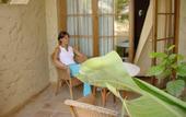 Туры в отель Hotel y Apartamentos Bahia Sur