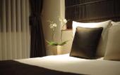 Туры в отель Park Plaza Victoria London