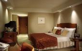 Туры в отель Park Plaza Victoria London