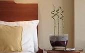 Туры в отель Park Plaza Victoria London