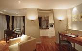 Туры в отель Park Plaza Victoria London