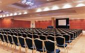 Туры в отель Park Plaza Victoria London