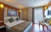 Туры в отель Viking Star Hotel