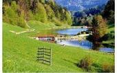 Туры в отель Vile Terme Zrece
