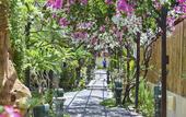 Туры в отель Villa Almarik