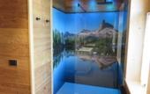 Туры в отель Villa Alpina