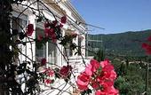 Туры в отель Villa Anna