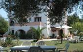 Туры в отель Villa Avra