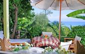 Туры в отель Villa Calypso