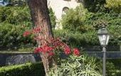Туры в отель Culture Hotel Villa Capodimonte