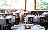 Туры в отель Villa Cesi