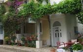 Туры в отель Villa Dana