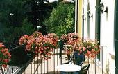 Туры в отель Villa Edera