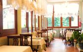 Туры в отель Villa Edera