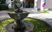 Туры в отель Villa Gutenbrunn