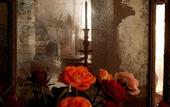 Туры в отель Villa Maroc