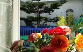 Туры в отель Villa Maroc