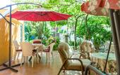 Туры в отель Villa Predrag