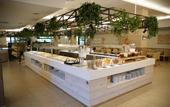 Туры в отель Ohtels Vila Romana