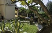 Туры в отель Villa Romantica Corfu