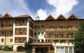 Туры в отель Villa Rosa