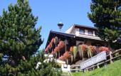 Туры в отель Hotel Villa Wilma