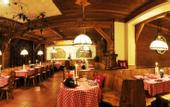 Туры в отель Hotel Villa Wilma