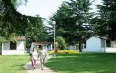 Туры в отель Garden Suites Park Plava Laguna