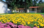 Туры в отель Garden Suites Park Plava Laguna