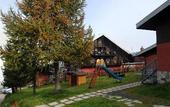 Туры в отель Alpen Village Hotel