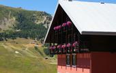 Туры в отель Alpen Village Hotel