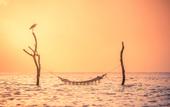 Туры в отель Sun Siyam Vilu Reef