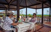 Туры в отель Nour Palace Thalasso Aquapark