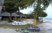 Туры в отель Balicasag Island Dive Resort