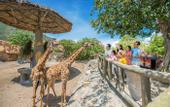 Туры в отель Vinpearl Resort Nha Trang